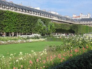 jardin-jardin-du-palais-royal