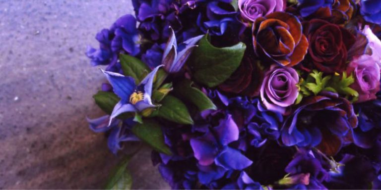 point de vente patricia blanchet